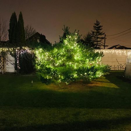 Villa Umberti Sibiu Exteriér fotografie