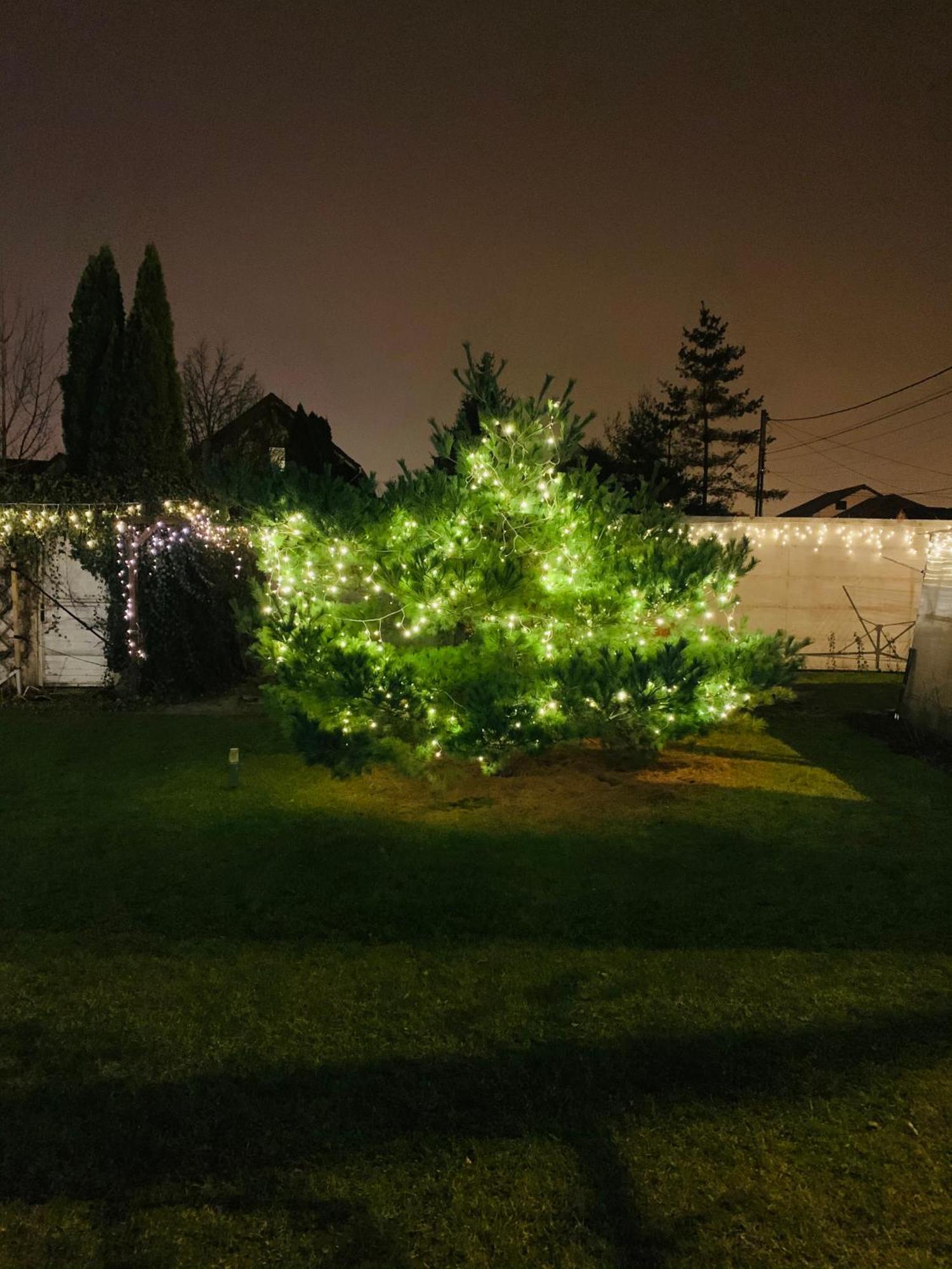 Villa Umberti Sibiu Exteriér fotografie