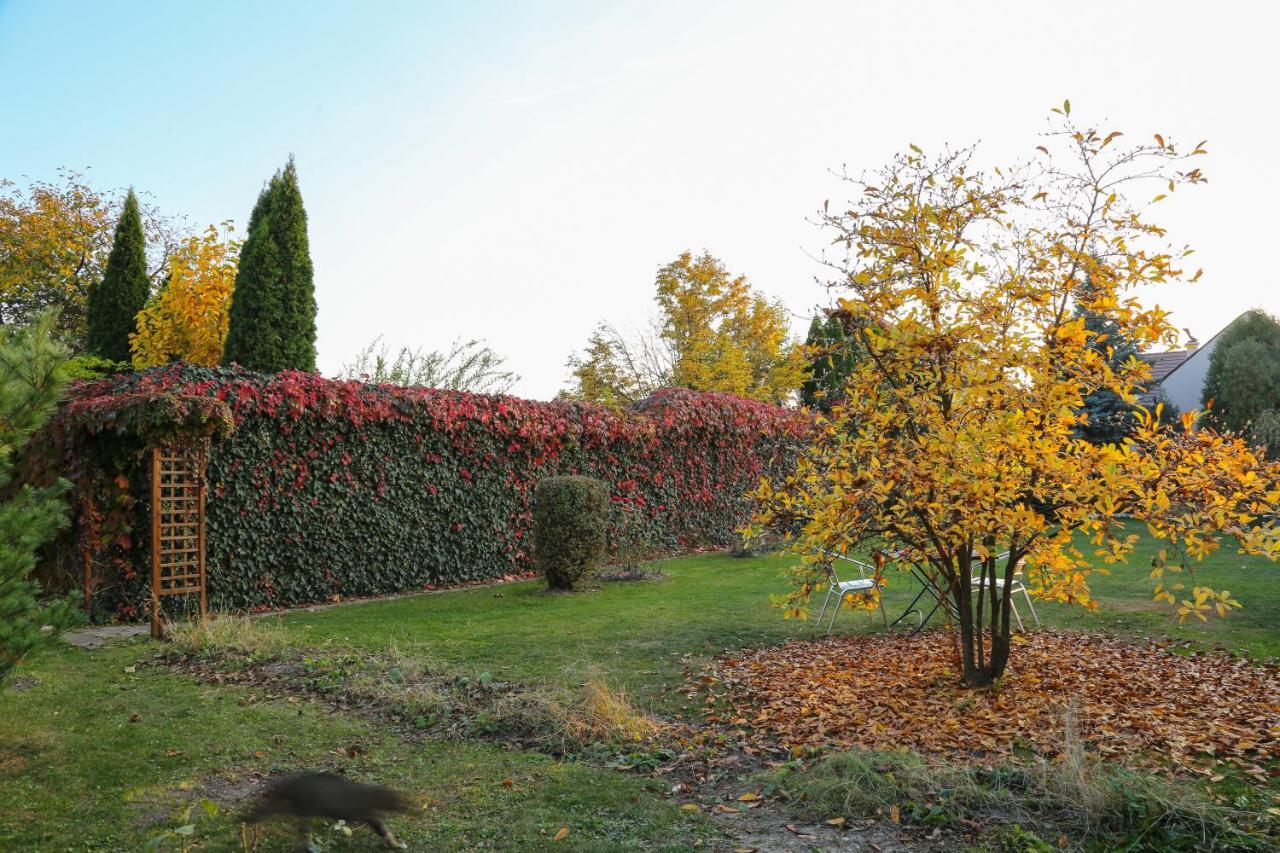 Villa Umberti Sibiu Exteriér fotografie